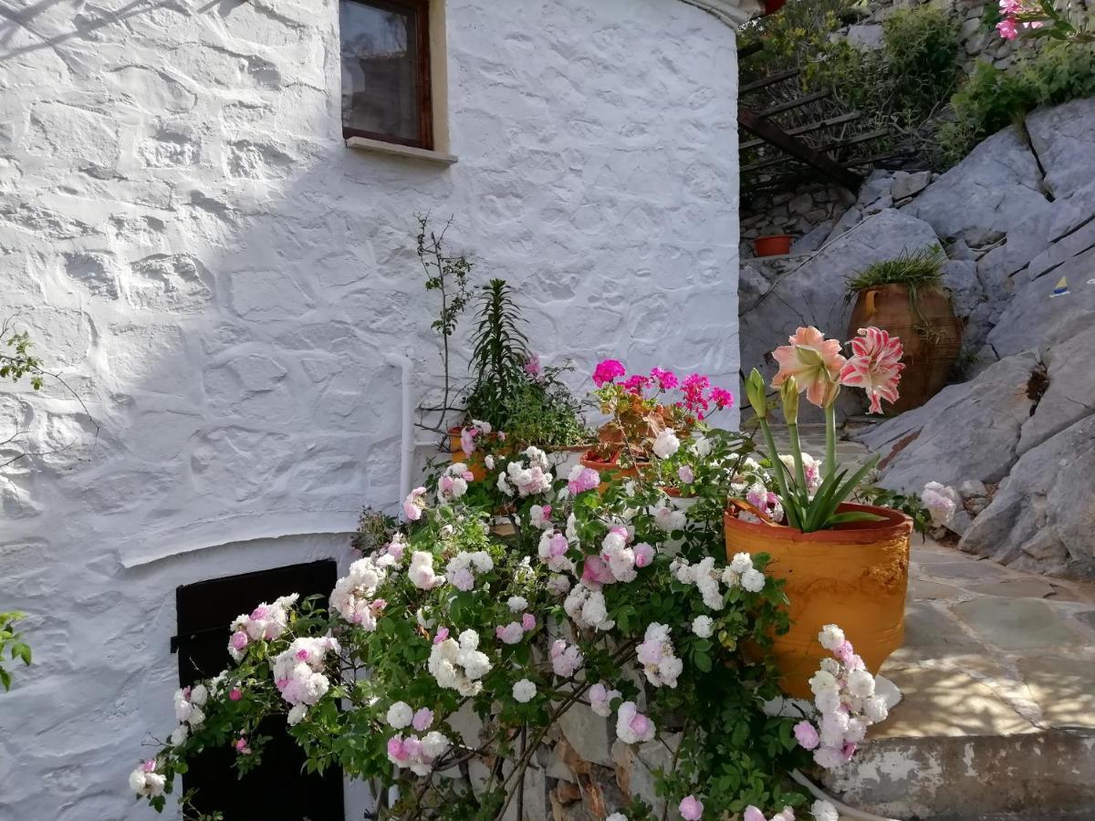 Mandraki  Arbeli House 빌라 외부 사진
